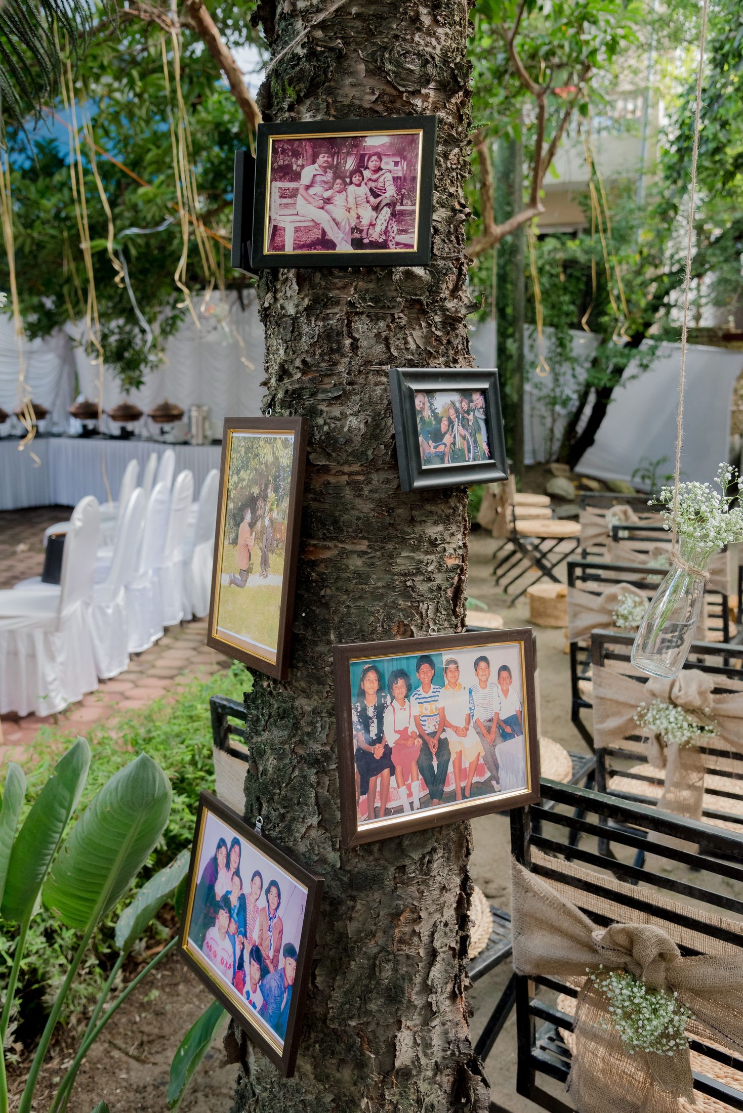 Family photographs in wooden frames hung along a tree trunk at the venue