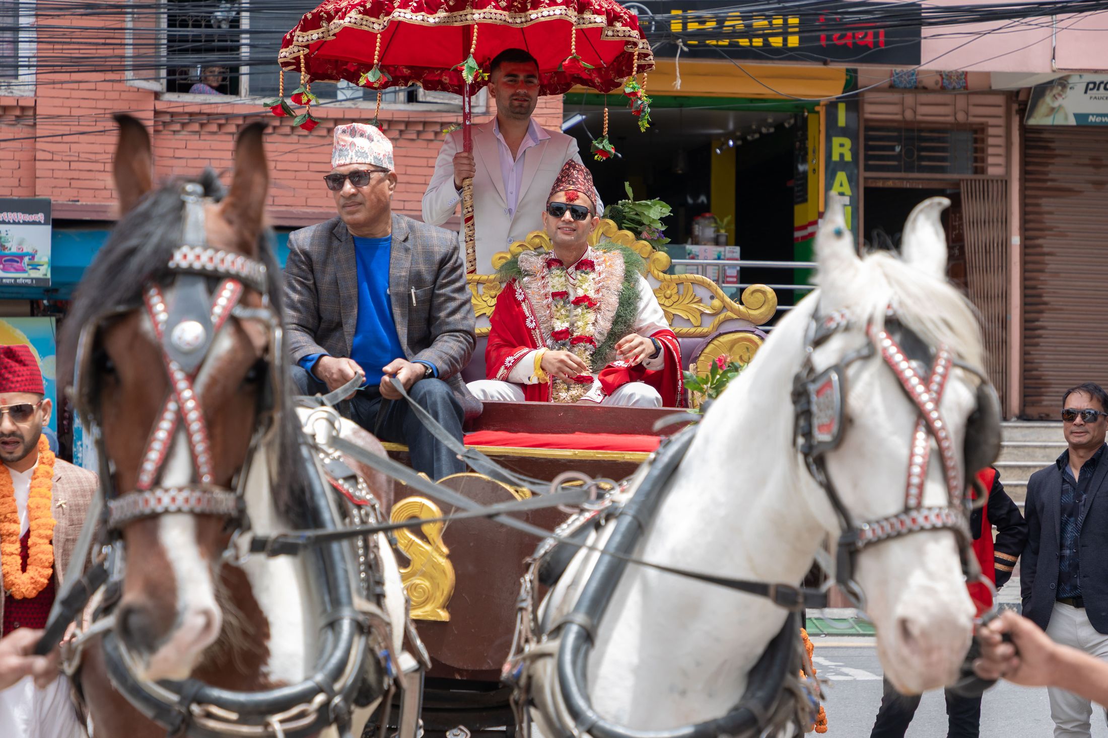 Krishna arriving in a red-canopied horse-drawn carriage with two horses, wearing a floral garland